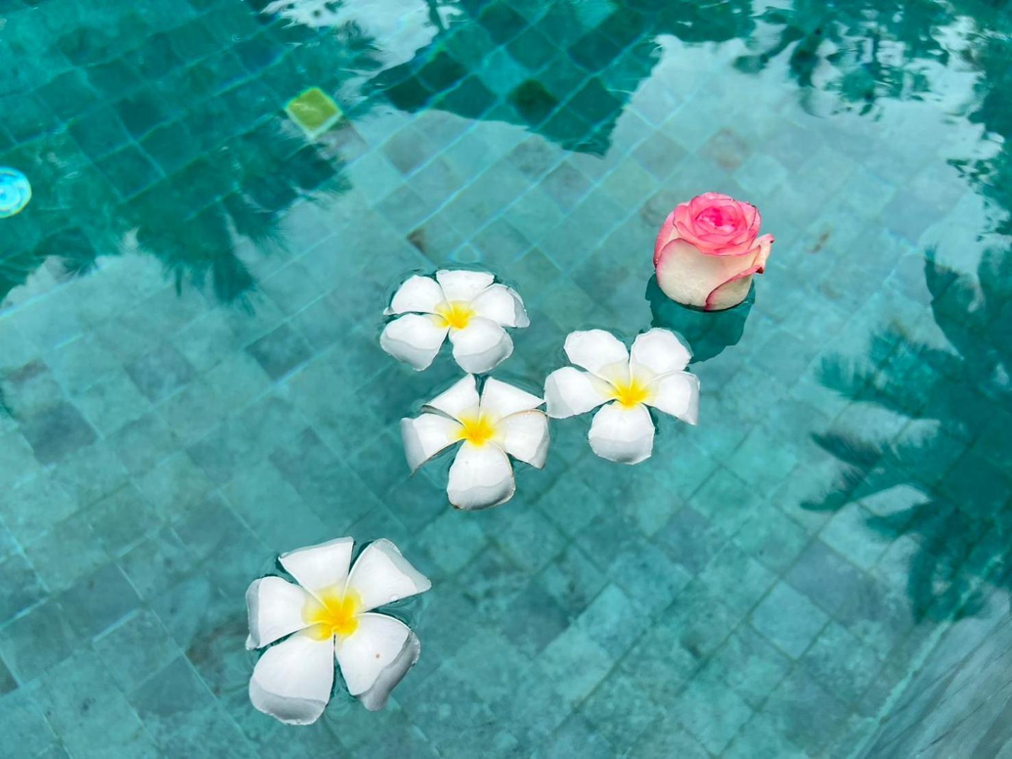 Chill Lay Resort Donsak Don Sak Exterior photo